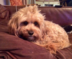 1–25E5-2585-25A8-25E7-2594-25BB-25E9-259D-25A2-25E3-2582-25AD-25E3-2583 ...